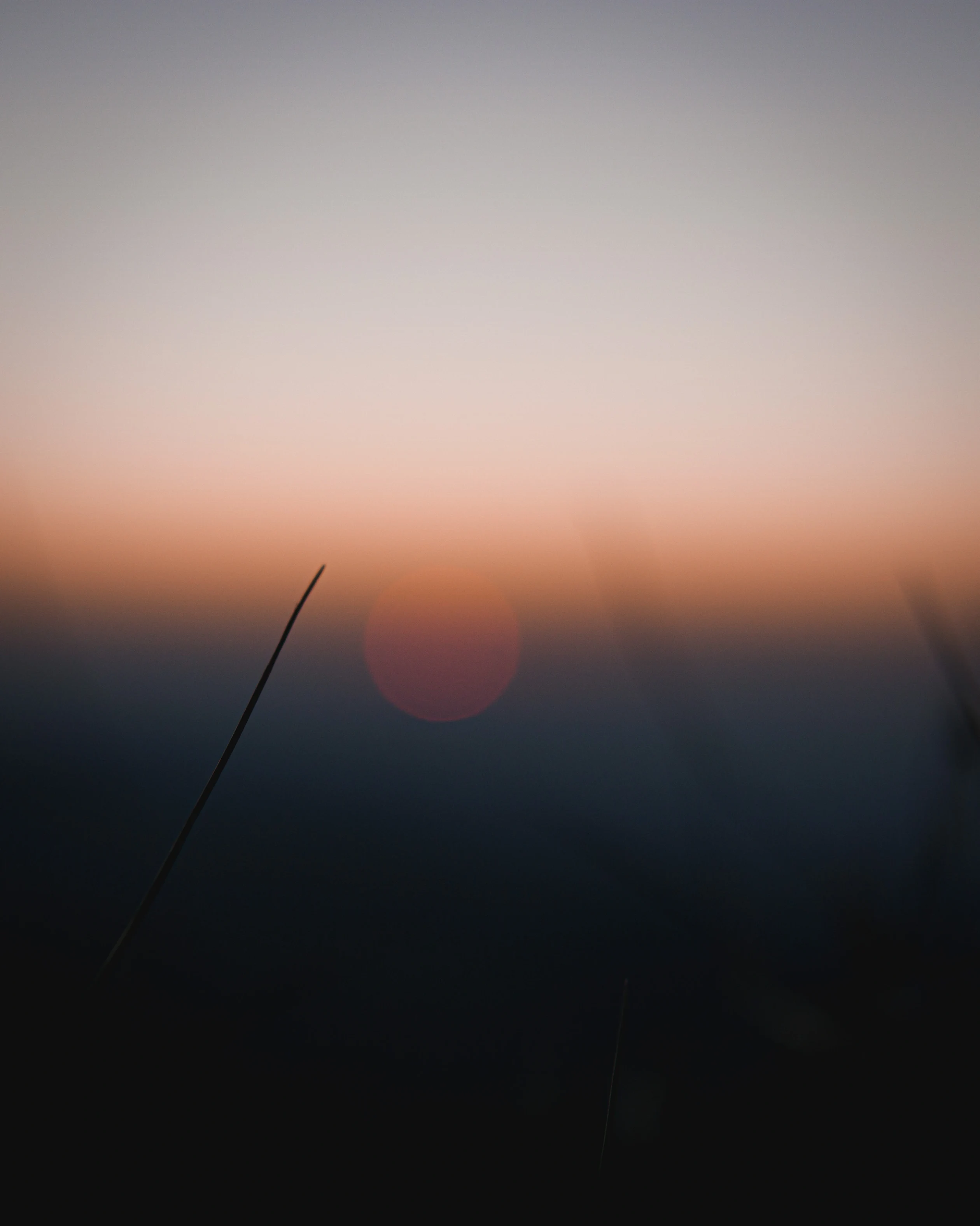 grass