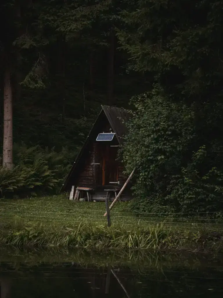 The Forest Project.